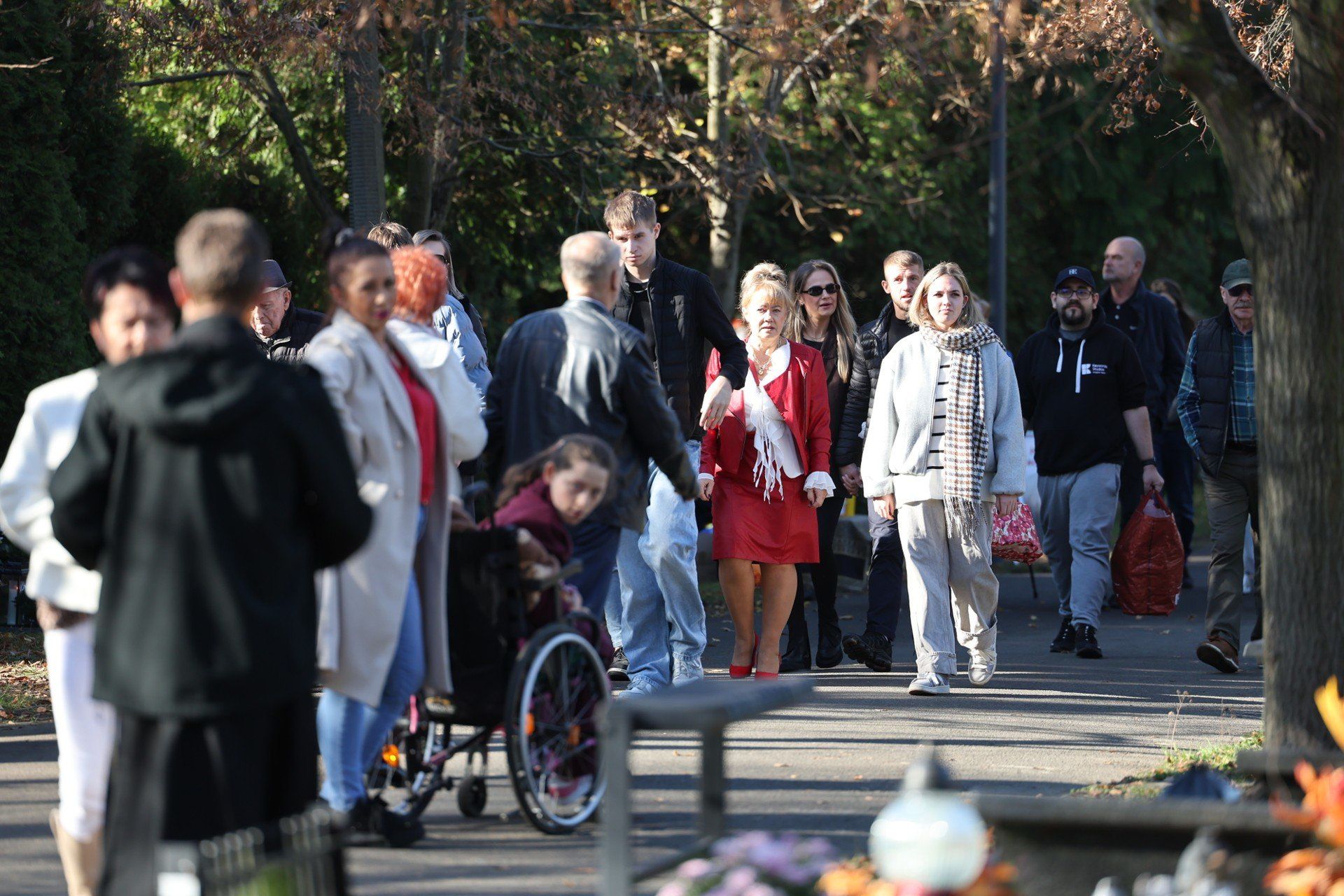 Wszystkich Świętych 2025 w Katowicach