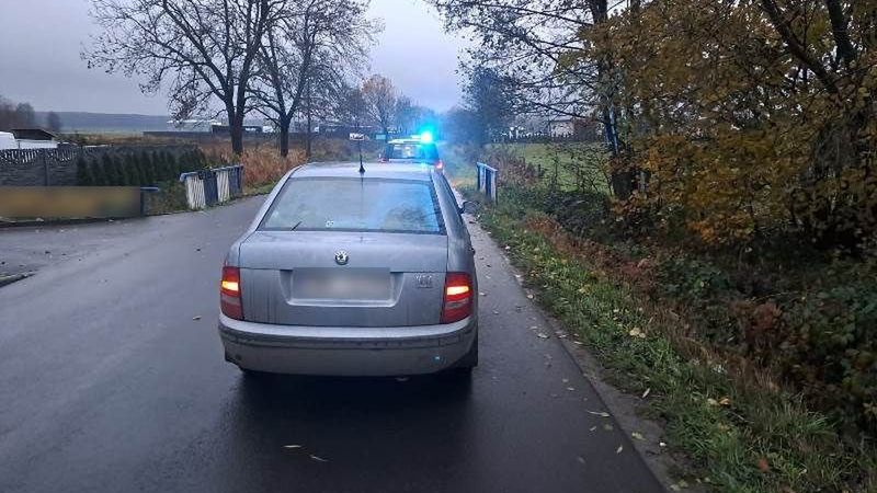 Kierowca stanął na środku drogi i zasnął