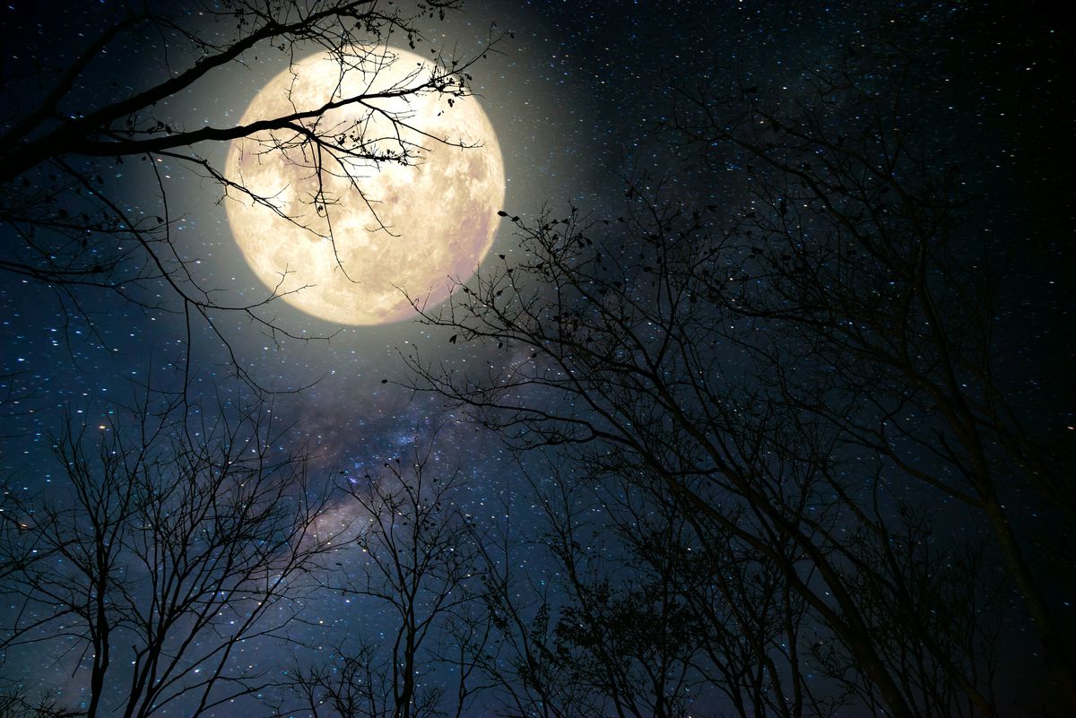 Pełnia Księżyca zbiegnie się z dwoma rojami meteorów 