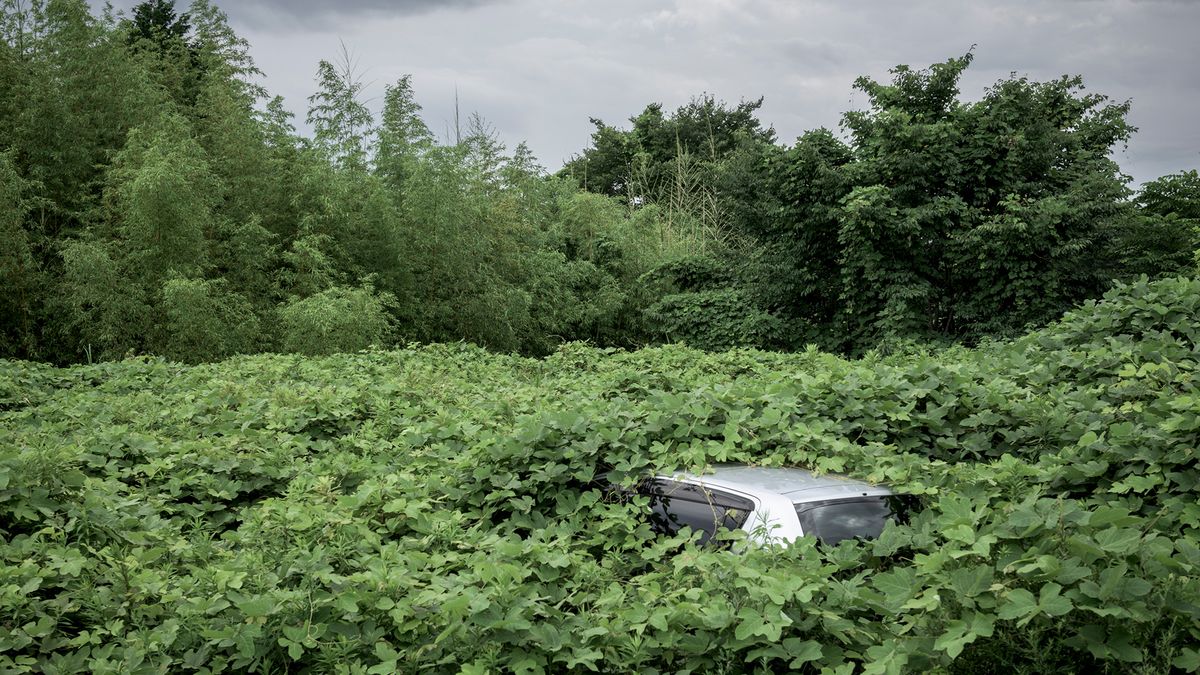 Podczas festiwalu Landskrona Foto 2017 zobaczymy prace Polaka – Kacpra Kowalskiego 1