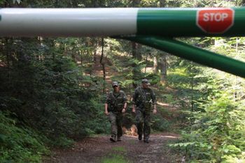 Od środy kontrole w polskich lasach. Rusza akcja "Majówka 26"