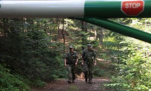 Od środy kontrole w polskich lasach. Rusza akcja "Majówka 26"