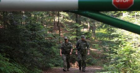 Od środy kontrole w polskich lasach. Rusza akcja "Majówka 26"