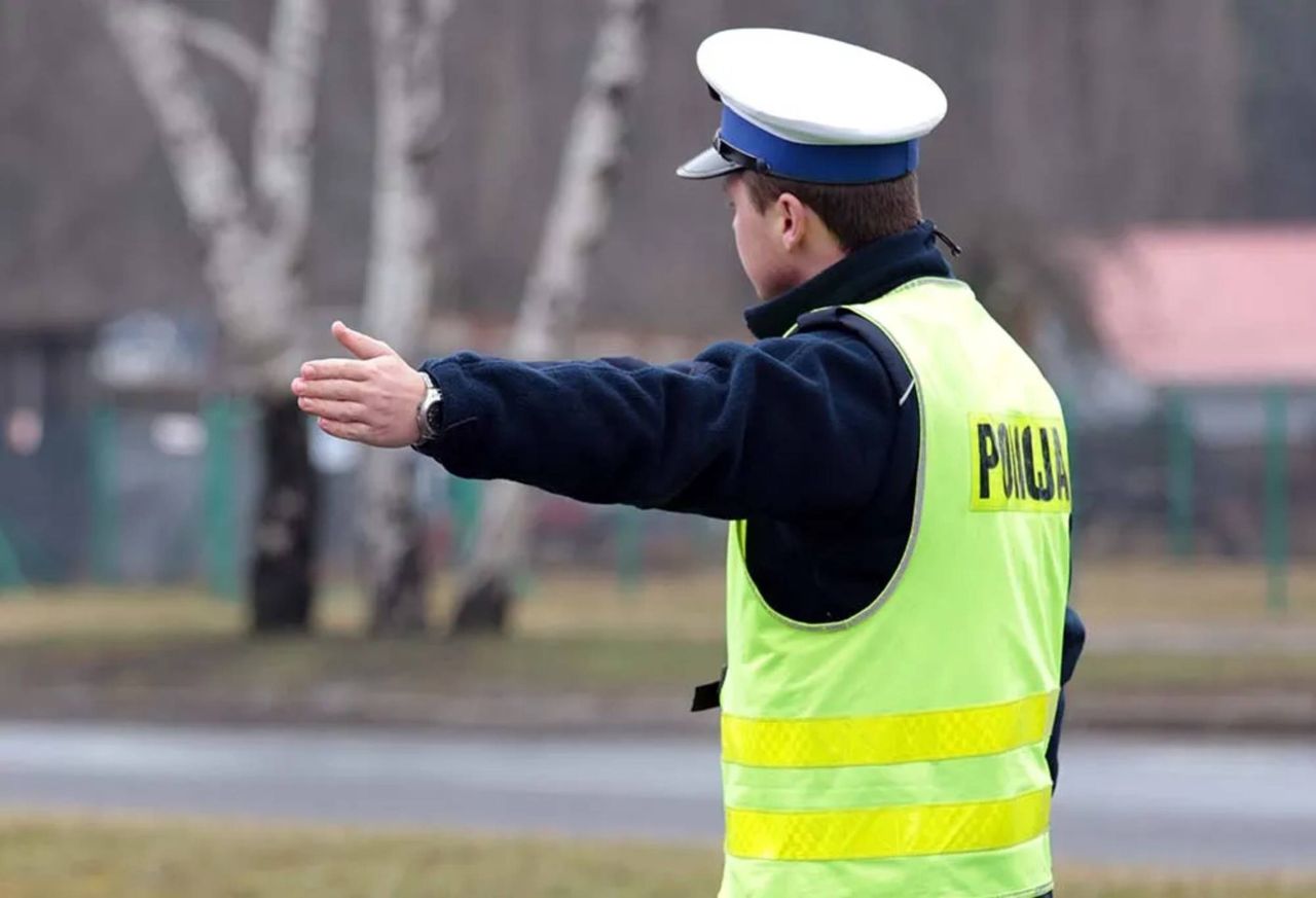 Wypadek pod Krosnem Odrzańskim. BMW uderzyło w jelenia. Ranne dzieci. W aucie było za dużo osób