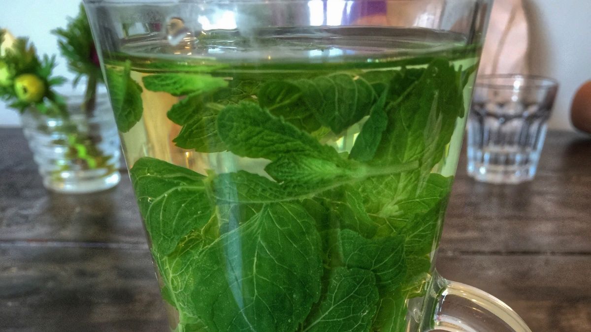 Pokrzywa z miętą doskonale oczyszcza organizm