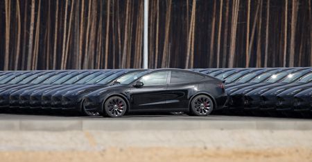 Tesla kontra pracownicy. W tle powiększenie fabryki pod Berlinem