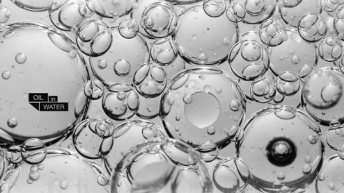 Świat w skali makro - film nakręcony Canonem 5D Mark II 1