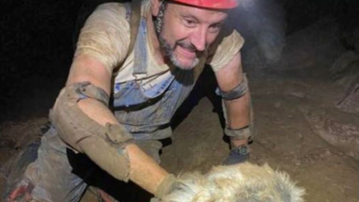 Przez dwa miesiące nie było wiadomo, co się dzieje z czworonogiem. Ocalono go cudem