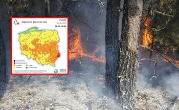 Ekstremalna podatność na zapalenie. Pilny alert RCB