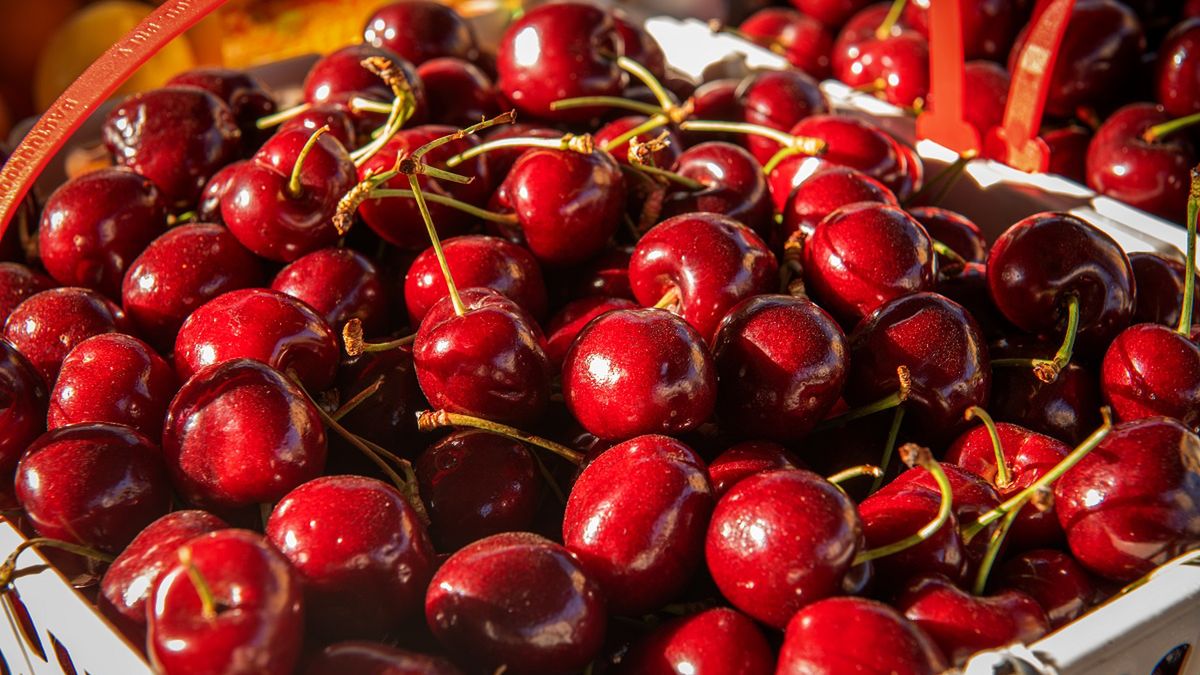 Zdjęcie ilustracyjne. 