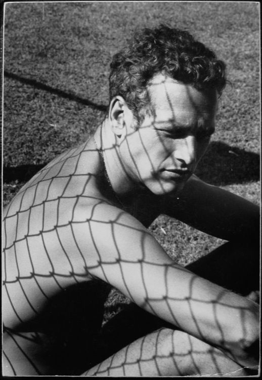 Paul Newman © Dennis Hopper
