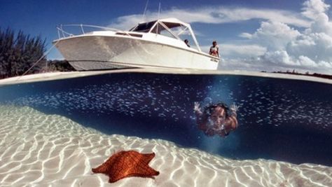 BAD – złe zdjęcia w National Geographic? 1