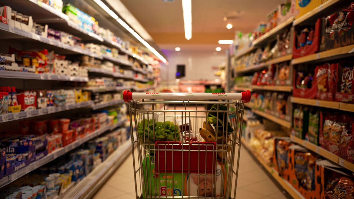 Dino wycofuje produkt