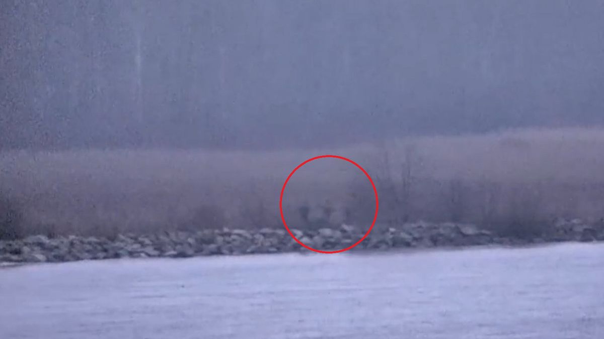 Rosjanie w mundurach przekroczyli granicę NATO?