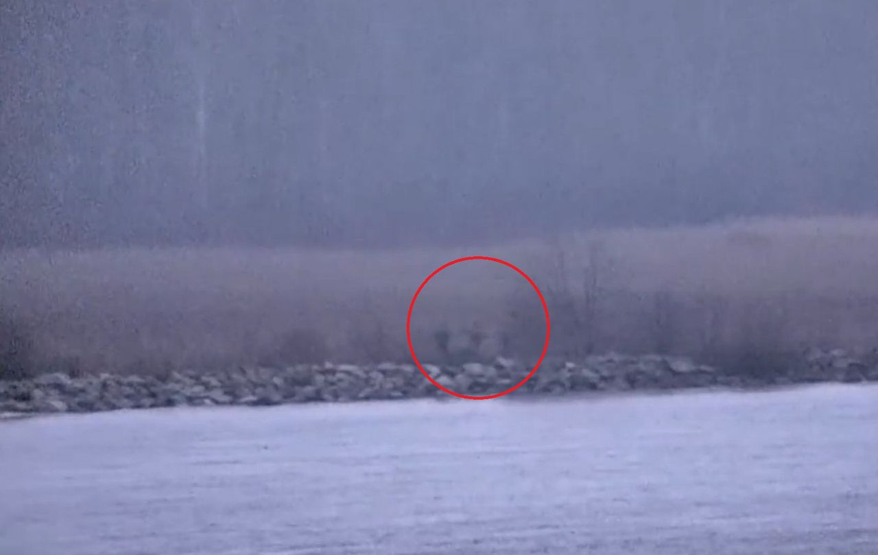 Estonia: Rosyjscy żołnierze przekroczyli granicę NATO. Wszystko się nagrało