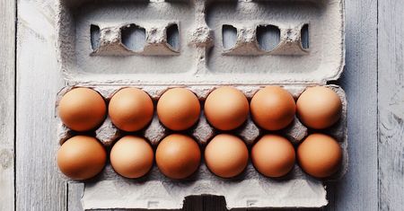 GIS ostrzega. Salmonella w popularnych jajkach