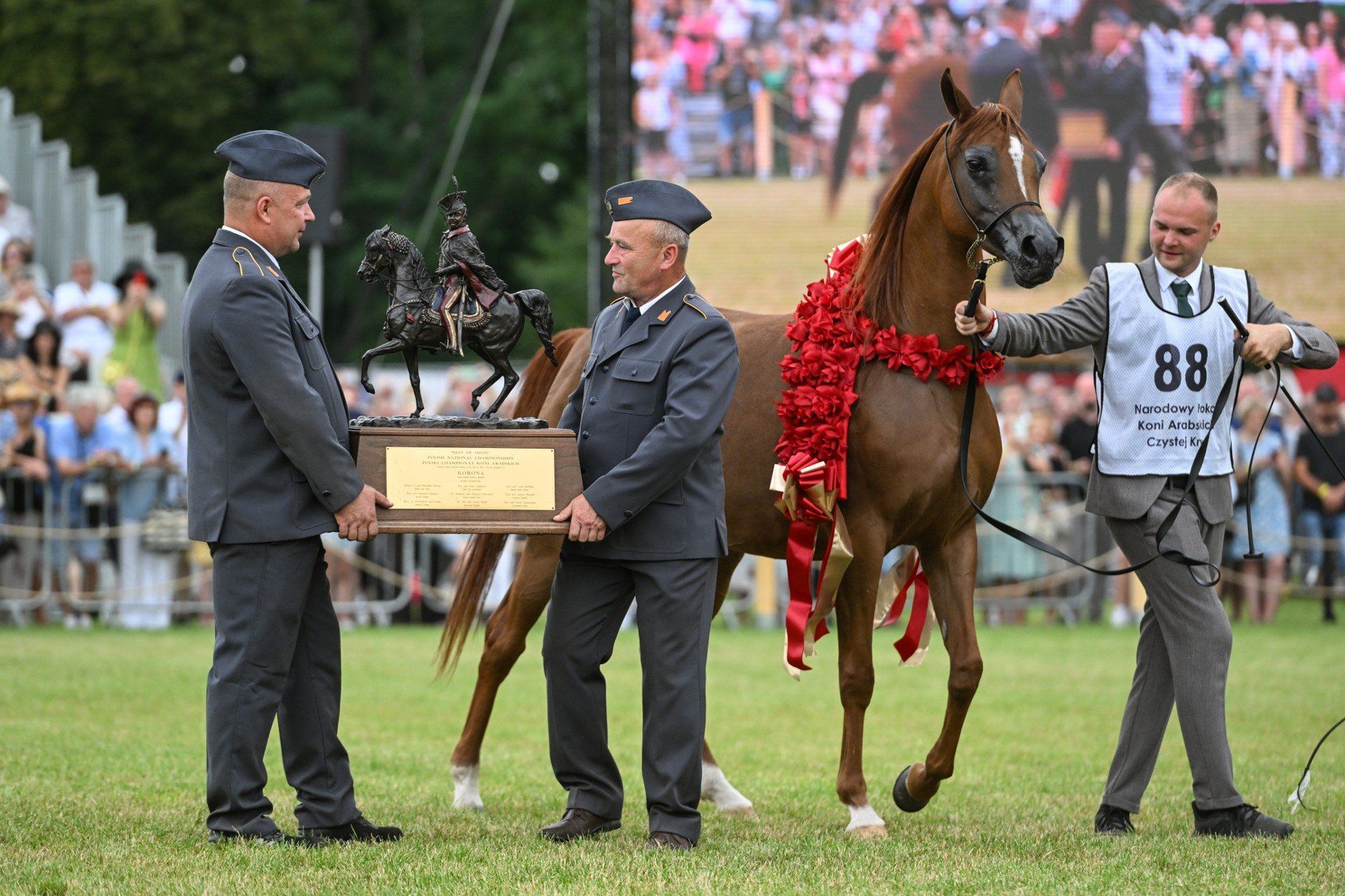 klacz Encarina