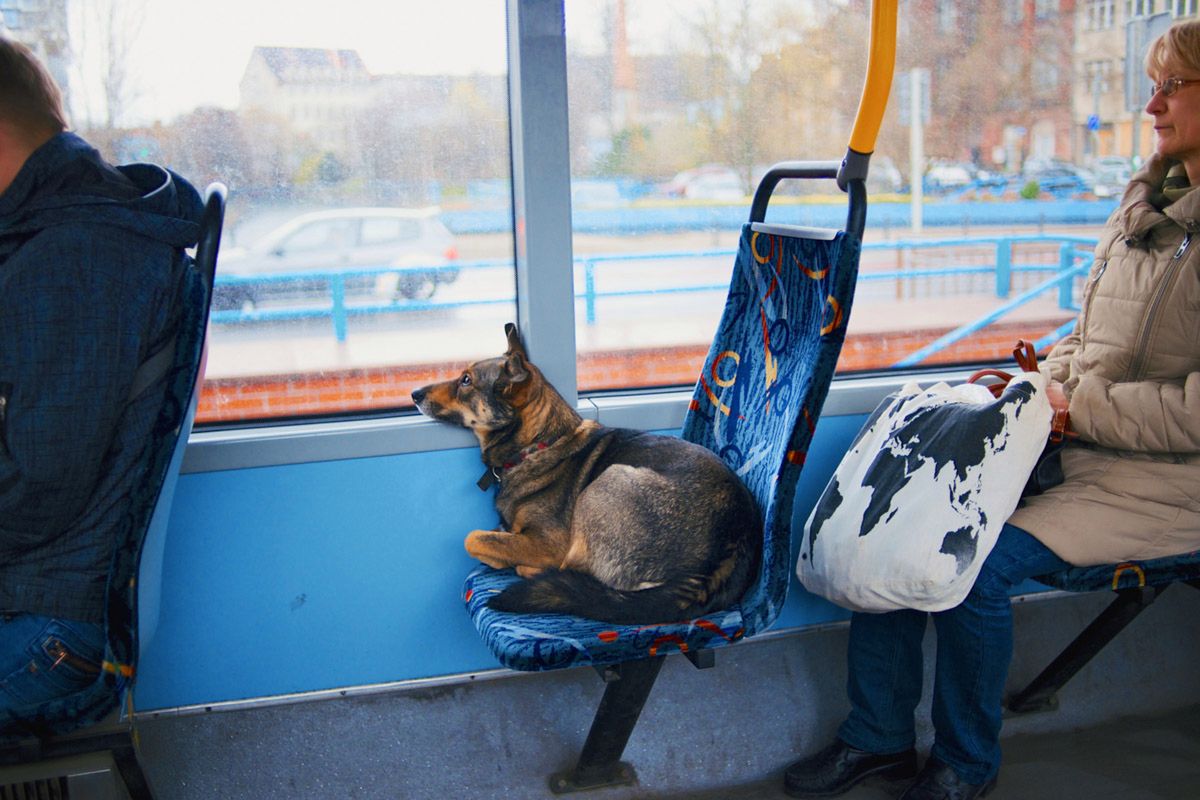 Eastreet 4 – rozpoczął się nabór do czwartej edycji projektu o fotografii dokumentalnej i ulicznej 2