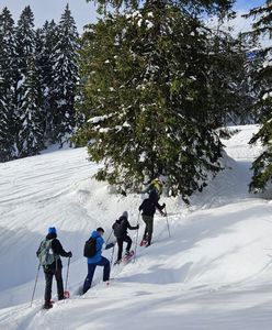 W rakietach śnieżnych przez Szwarcwald. "Znalazłam swój ulubiony sport zimowy"