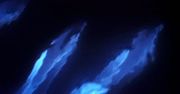 Najpierw świecące fale, a teraz delfiny. Zobacz piękną bioluminescencję
