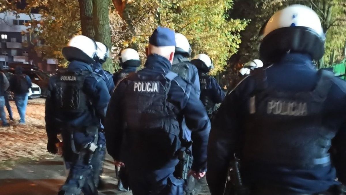 zdjęcie poglądowe