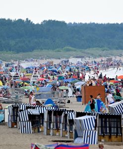 Gdzie można się kąpać w Bałtyku? Sprawdź, czy są sinice