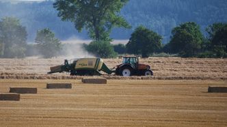 1,23 mld zł dla rolników, którzy ponieśli straty w wyniku pandemii COVID-19