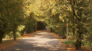 Poznań: Park pełen kolorów i deszczówki. Na Winogradach powstanie nowa zielona przestrzeń