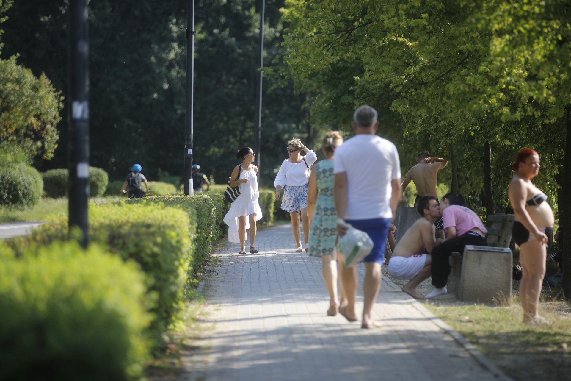 Dolina Trzech Stawów w Katowicach