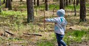 Kurtki przejściowe dla dzieci – na co zwrócić uwagę?