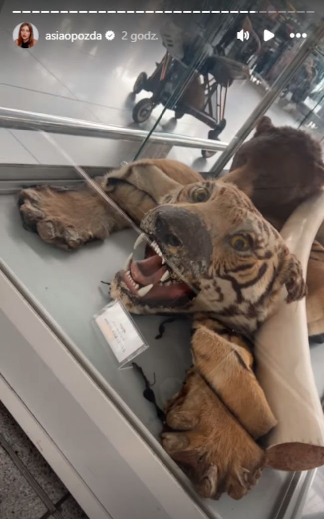 Relacja Joanny Opozdy. Szokujące słowa innej podróżnej