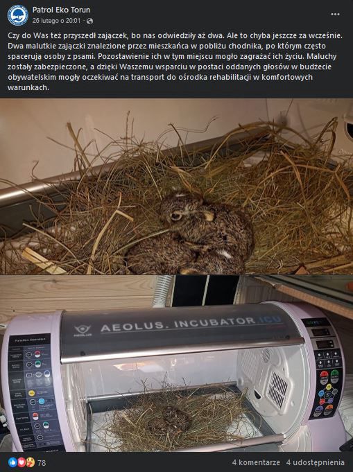 Strażnicy miejscy mają do dyspozycji inkubatro.
