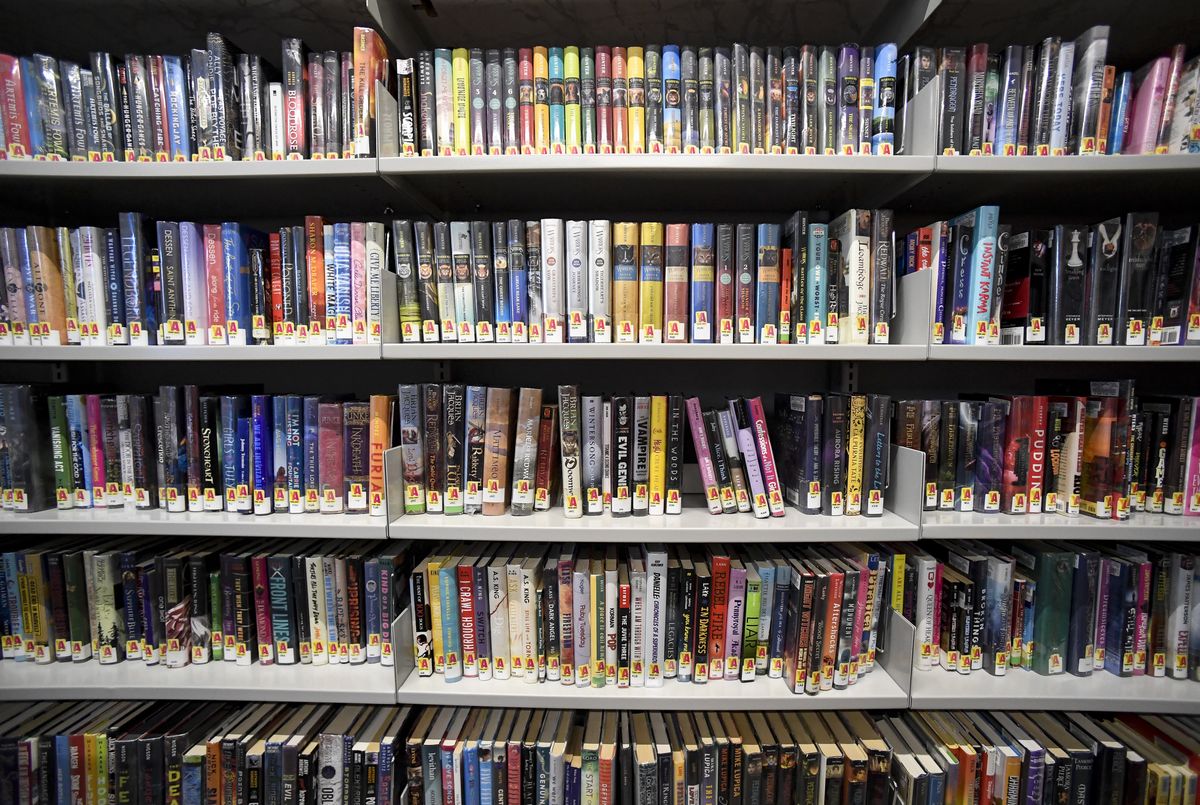Fleetwood, PA - January 27: Books on a shelf in the library. At the Fleetwood Area Public Library in Fleetwood, PA Thursday morning January 27, 2022. (Photo by Ben Hasty/MediaNews Group/Reading Eagle via Getty Images)