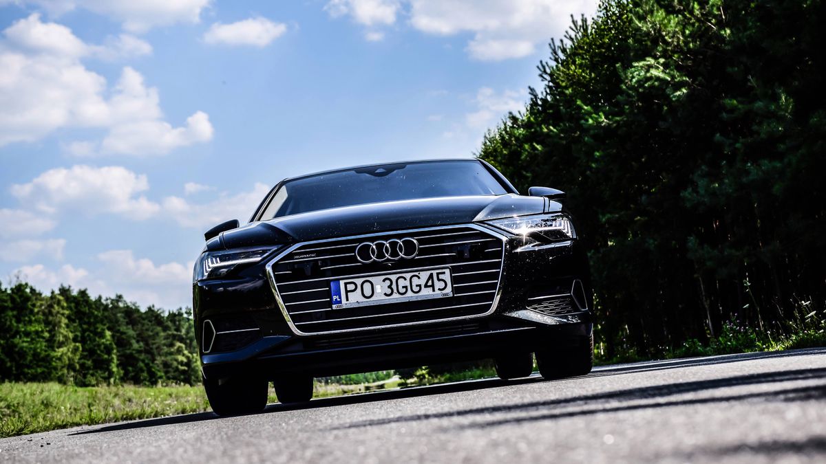 fot. Patryk Chmurski