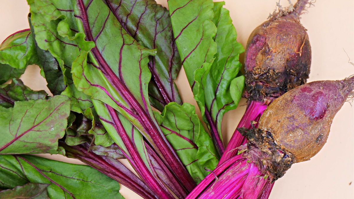 Botwinka – wiosenny przysmak, którego tajemnice musisz poznać!