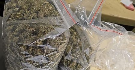 Narkotyki na jednej z posesji koło Lublina. Kryminalni zabezpieczyli blisko 1,5 kg marihuany i mefedronu