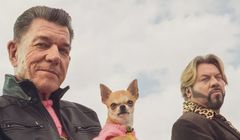 "Bolec" dołącza do "Gruchy" w reklamie Uniqa