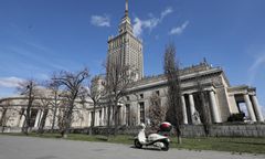 W PKiN wykluły się dwa pisklaki sokołów wędrownych