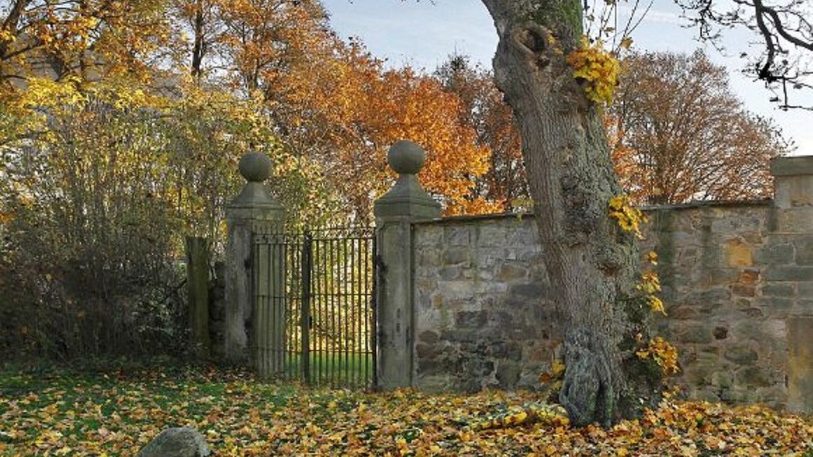 Na tym zdjęciu ukryta jest kobieta. Spróbuj ją znaleźć (Instagram)