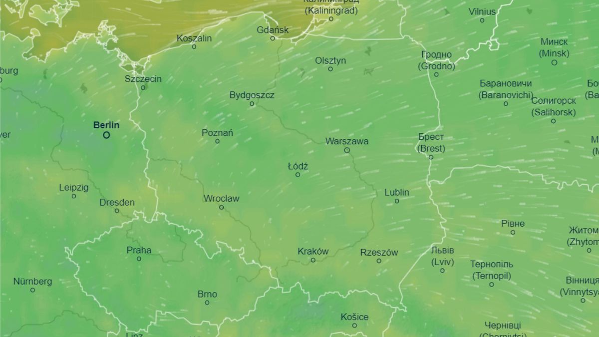Wtorek (17 października) będzie dość chłodnym dniem