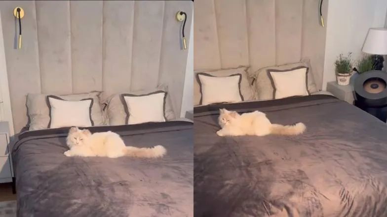 mieszkanie Roksany Węgiel