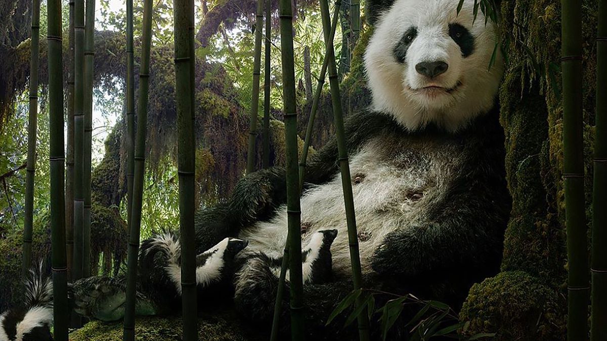 Fotomontaż czy genialne oko? Doskonałe prace Simena Johana 1