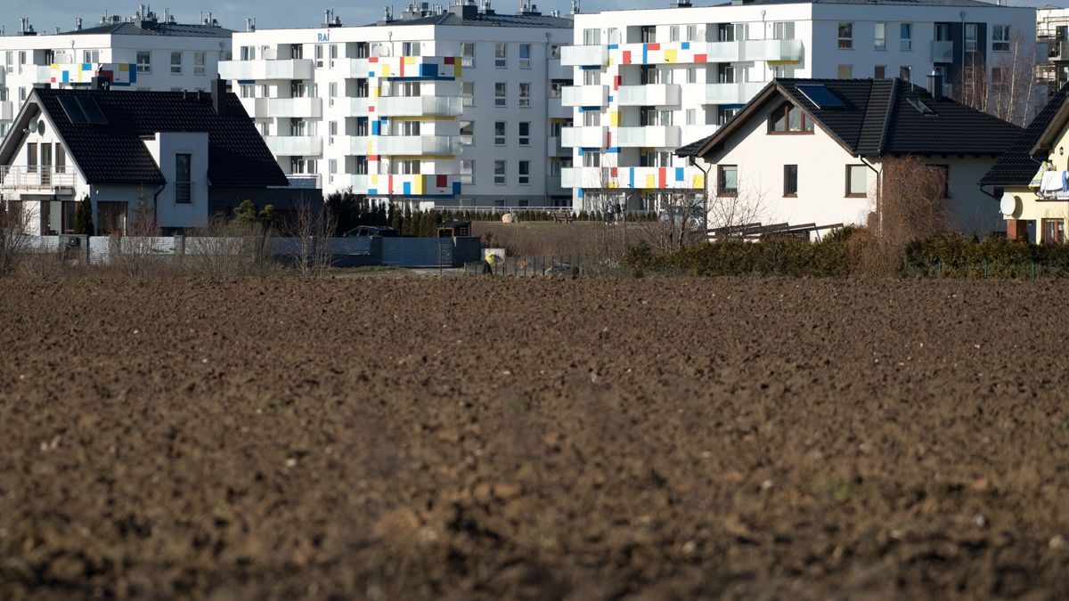 reporter9_baza
07.02.2020 Gdansk Osowa Osiedle mieszkaniowe pole Fot. Wojciech Strozyk/REPORTER
Wojciech Strozyk/REPORTER