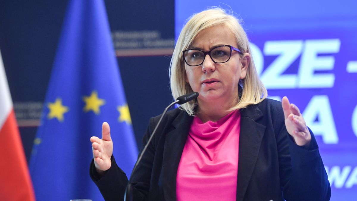 Paulina Hennig-Kloska
Piotr Nowak
energia cieplna, inwestycje, konferencja, Paulina Hennig Kloska, polityk, polityka, prasowa, spotkanie