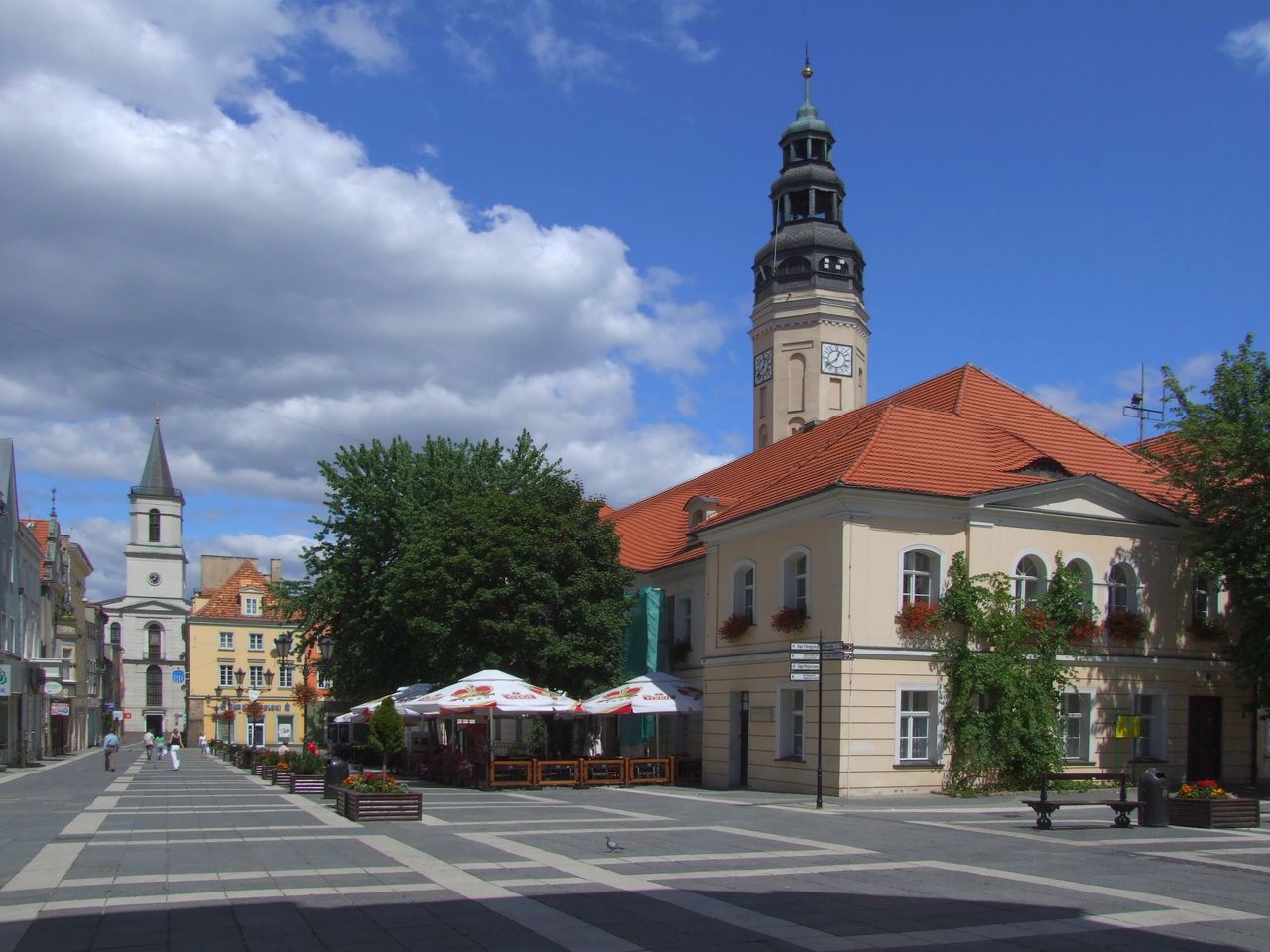 Lubuskie. Prezydent Zielonej Góry o "koronaściemie"