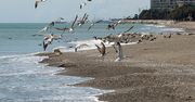 25-letni Brytyjczyk znaleziony martwy na plaży w Hiszpanii