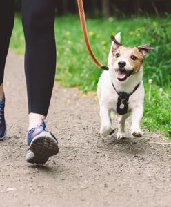 Są nowe wskazania. 10 tys. kroków dziennie to przeżytek