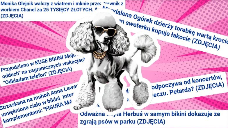 Zagłosuj na "Pudelkowe Słowo Roku"