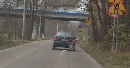 Przywiązał psa do samochodu. Kierowca ciągnął go po drodze