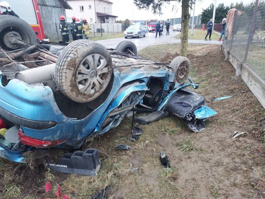 policja